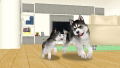 Petz: Dogz Family thumbnail 2