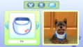 Petz: Dogz Family thumbnail 6