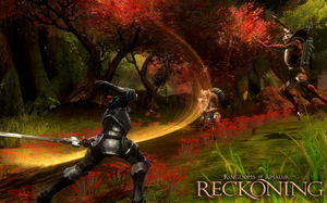 Kingdoms of Amalur: Reckoning (DVD-ROM)_