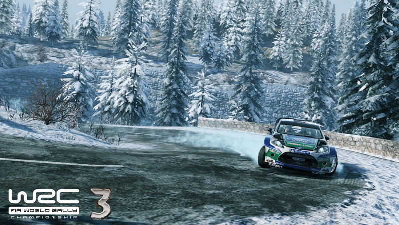 WRC 3 (Wheel Bundle) image 4