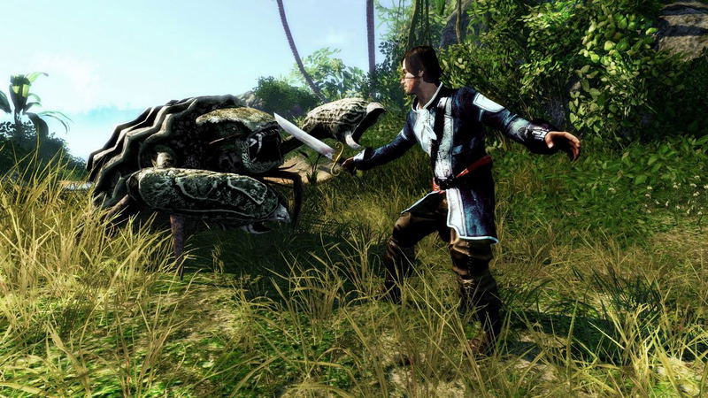 Risen 2: Dark Waters image 2