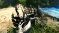 Risen 2: Dark Waters thumbnail 4