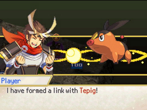 Pokemon Conquest image 3