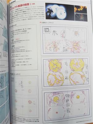 Mobile Suit Gundam Unicorn Inside Animation Works 1