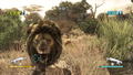 Cabela's Dangerous Hunts 2011 thumbnail 4