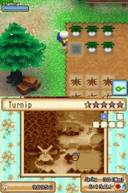 Harvest Moon DS: Grand Bazaar image 3