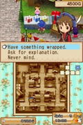Harvest Moon DS: Grand Bazaar thumbnail 4