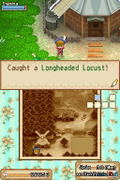 Harvest Moon DS: Grand Bazaar thumbnail 6