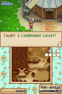 Harvest Moon DS: Grand Bazaar image 6