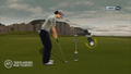 Tiger Woods PGA Tour 11 thumbnail 2