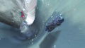 Motorstorm Arctic Edge (PSP Essentials) thumbnail 2