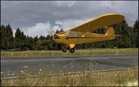Flight Replicas Cub (DVD-ROM)