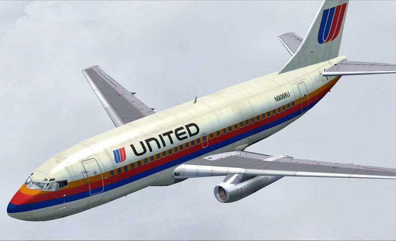 737 Professional (DVD-ROM) image 2