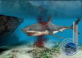 Jaws Unleashed thumbnail 5