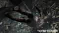 Tomb Raider thumbnail 5