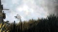 Battlefield 2: Modern Combat thumbnail 5