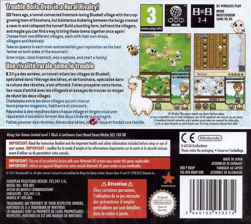 Harvest Moon: The Tale Of Two Towns image 2