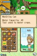 Harvest Moon: The Tale Of Two Towns thumbnail 11