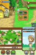 Harvest Moon: The Tale Of Two Towns thumbnail 12