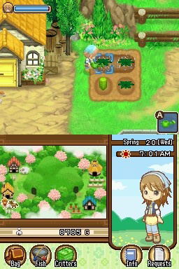 Harvest Moon: The Tale Of Two Towns image 12