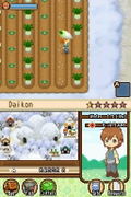 Harvest Moon: The Tale Of Two Towns thumbnail 5