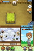 Harvest Moon: The Tale Of Two Towns thumbnail 7