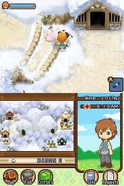 Harvest Moon: The Tale Of Two Towns image 8