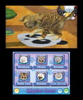 Purr Pals Purrfection thumbnail 2