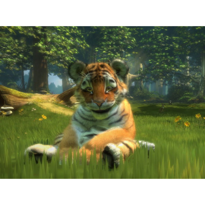 Kinectimals (Kinect) image 6