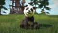 Kinectimals: Now With Bears thumbnail 7