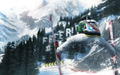 Winter Stars thumbnail 5