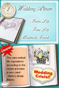 Dream Day: Wedding Destination thumbnail 6