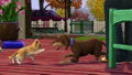 The Sims 3: Pets thumbnail 10