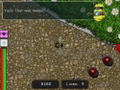 Clever Kids: Creepy Crawlies thumbnail 10