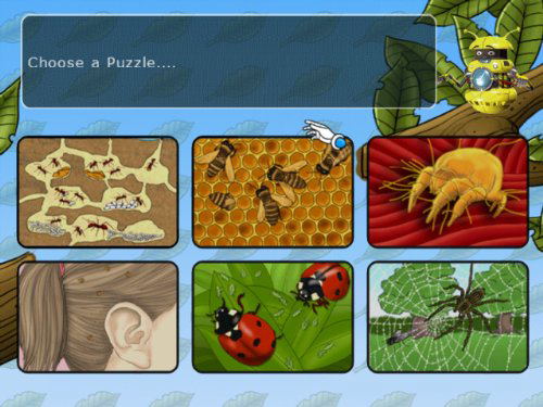 Clever Kids: Creepy Crawlies image 4