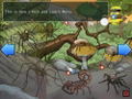 Clever Kids: Creepy Crawlies thumbnail 9