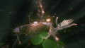 Gravity Rush thumbnail 10
