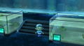 Animal Crossing: Let's Go To The City (w/ Wii Speak) thumbnail 9