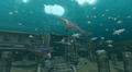 Endless Ocean 2: Adventures of the Deep thumbnail 10