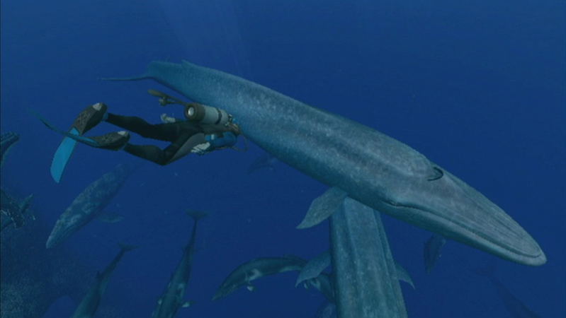 Endless Ocean 2: Adventures of the Deep image 3