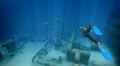 Endless Ocean 2: Adventures of the Deep thumbnail 9