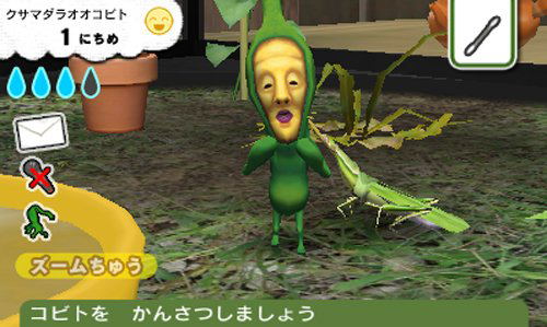 Kobitodsukan Kobito Kansatsu Set image 3