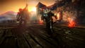 The Witcher 2: Assassins of Kings [Enhanced Edition] thumbnail 3