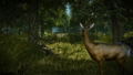 The Witcher 2: Assassins of Kings [Enhanced Edition] thumbnail 8