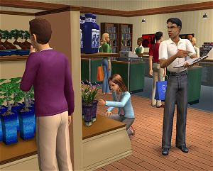 The Sims 2: Open for Business (Expansion Pack)