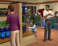The Sims 2: Open for Business (Expansion Pack) thumbnail 5