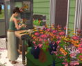 The Sims 2: Open for Business (Expansion Pack) thumbnail 9