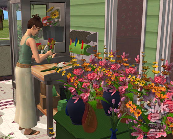 The Sims 2: Open for Business (Expansion Pack) image 9