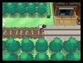 Pokemon White Version thumbnail 6