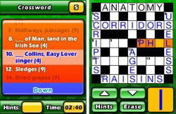 Puzzler World 2011 image 3